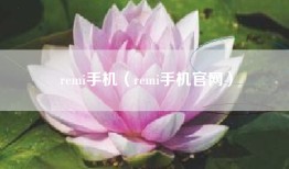 remi手机（remi手机官网）