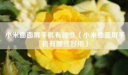 小米曲面屏手机有哪些（小米曲面屏手机有哪些好用）