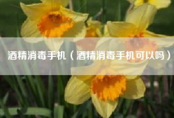 酒精消毒手机（酒精消毒手机可以吗）