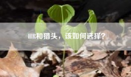 HR和猎头，该如何选择？