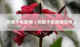 凤凰手机新闻（凤凰手机新闻官网）