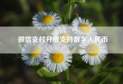 微信支付开放支持数字人民币