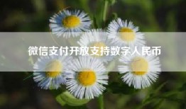 微信支付开放支持数字人民币