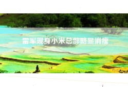 雷军现身小米总部略显消瘦