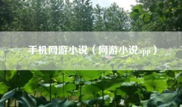 手机网游小说（网游小说app）