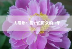 大理州：看12位群众的10年