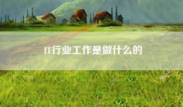 IT行业工作是做什么的