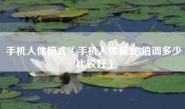 手机人像模式（手机人像模式f值调多少比较好）