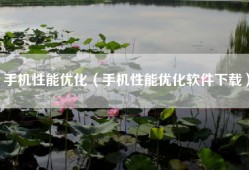 手机性能优化（手机性能优化软件下载）