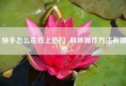 快手怎么花钱上热门  具体操作方法有哪些