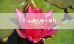手机wps怎么插入图片