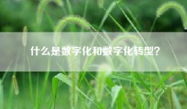 什么是数字化和数字化转型？