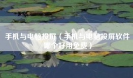 手机与电脑投屏（手机与电脑投屏软件哪个好用免费）