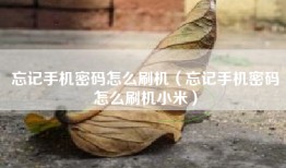 忘记手机密码怎么刷机（忘记手机密码怎么刷机小米）