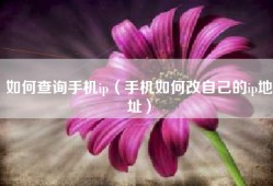 如何查询手机ip（手机如何改自己的ip地址）