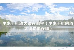 小米手机放大镜在哪里（小米手机的放大镜功能在哪）