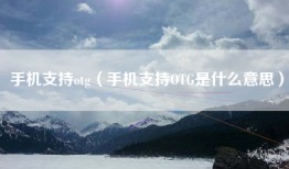 手机支持otg（手机支持OTG是什么意思）