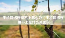 手机网络连接不上怎么办（手机网络连接不上是什么原因）