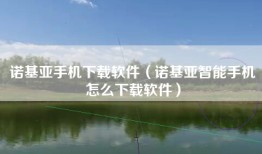 诺基亚手机下载软件（诺基亚智能手机怎么下载软件）