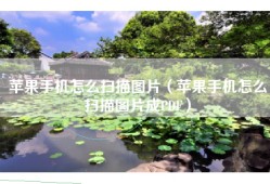 苹果手机怎么扫描图片（苹果手机怎么扫描图片成PDF）