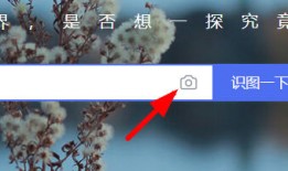 百度识图怎么用 百度识图用法【详解】