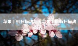 苹果手机扫描功能（苹果手机有扫描功能吗）