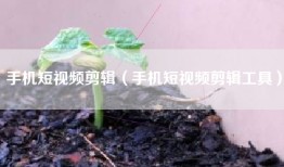 手机短视频剪辑（手机短视频剪辑工具）