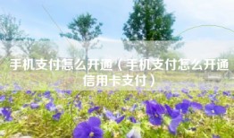 手机支付怎么开通（手机支付怎么开通信用卡支付）