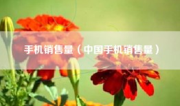 手机销售量（中国手机销售量）
