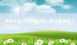 苹果手机11（苹果手机11电池多少钱）