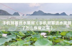 手机屏幕进水黑屏（手机屏幕进水黑屏了怎么恢复正常）