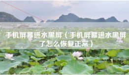 手机屏幕进水黑屏（手机屏幕进水黑屏了怎么恢复正常）