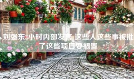 刘强东3小时内部发言 这些人这些事被批了这些项目要搁置