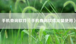 手机查询软件（手机查询软件流量使用）