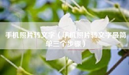 手机照片转文字（手机照片转文字最简单三个步骤）
