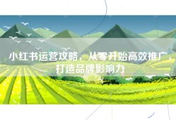 小红书运营攻略，从零开始高效推广，打造品牌影响力