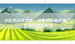 小红书运营攻略，从零开始高效推广，打造品牌影响力