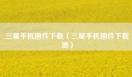 三星手机固件下载（三星手机固件下载器）