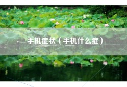 手机症状（手机什么症）