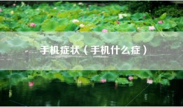 手机症状（手机什么症）