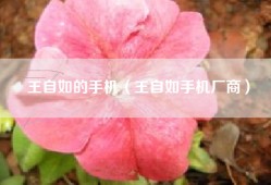王自如的手机（王自如手机厂商）