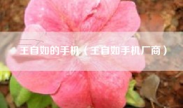 王自如的手机（王自如手机厂商）