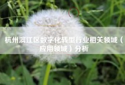 杭州滨江区数字化转型行业相关领域（应用领域）分析