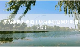 华为手机升级包（华为手机官网升级包下载）