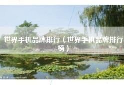 世界手机品牌排行（世界手机品牌排行榜）