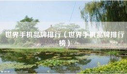 世界手机品牌排行（世界手机品牌排行榜）