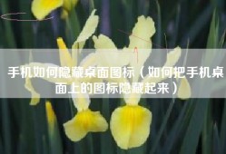 手机如何隐藏桌面图标（如何把手机桌面上的图标隐藏起来）