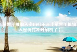 苹果手机输入密码打不开（苹果手机输入密码打不开刷机了）