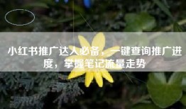 小红书推广达人必备，一键查询推广进度，掌握笔记流量走势