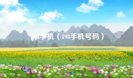 198手机（198手机号码）